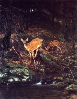 Fauna Fauna