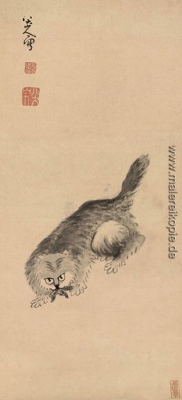 Katze und Schmetterling Katze und Schmetterling