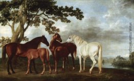 Stuten und Fohlen in einer Fluss-Landschaft Stuten und Fohlen in einer Fluss-Landschaft