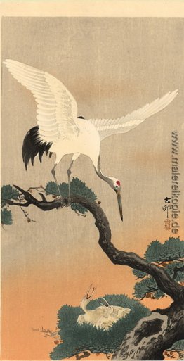 Kran über sein Nest Kran über sein Nest