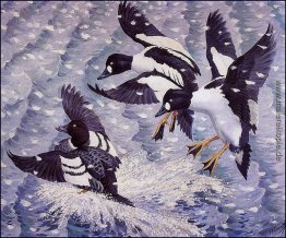 Goldeneye in einem Schneesturm Goldeneye in einem Schneesturm