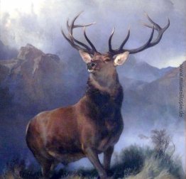 Der Monarch of the Glen Der Monarch of the Glen