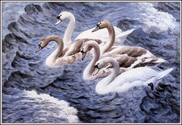 Rock And Roll Rock And Roll