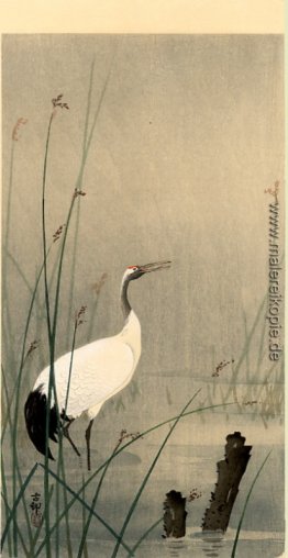 Crane in kleinen Wasser Crane in kleinen Wasser