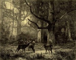 Wald von Fontainebleau Wald von Fontainebleau