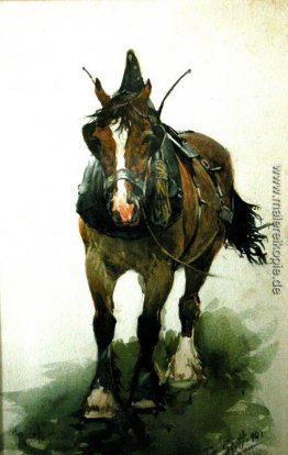Pferd Pferd