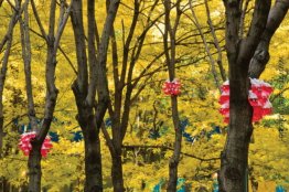 Ein kleiner Vogel sagte mir in Everyday Eden (Installationsansic Ein kleiner Vogel sagte mir in Everyday Eden (Installationsansic