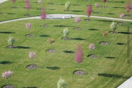 Super Special Happy Place (Installationsansicht) Super Special Happy Place (Installationsansicht)