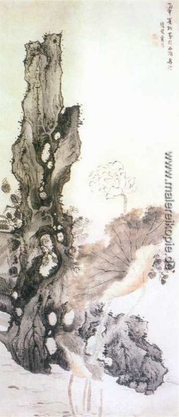 Blumen-und Rock- Blumen-und Rock-