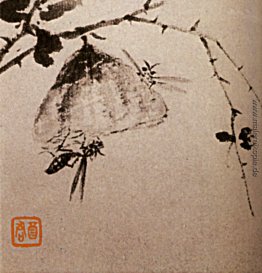 Studium der Insekten, Wespen Studium der Insekten, Wespen