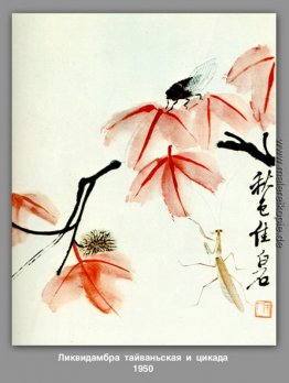 Likvidambra Taiwan und die Zikade Likvidambra Taiwan und die Zikade