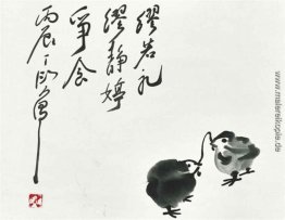 Chicks Chicks
