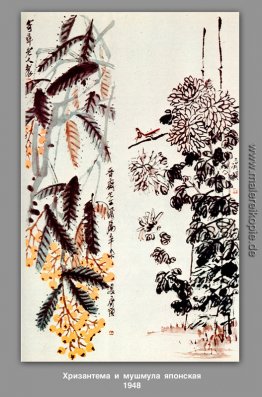 Chrysantheme und Mispel Chrysantheme und Mispel