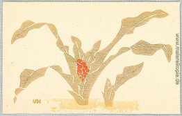 Omoto - Sacred Lily Omoto - Sacred Lily