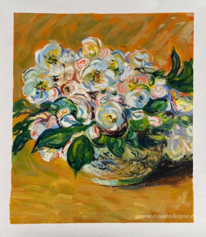 Weihnachtsrosen