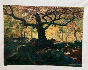 Baum in den Catskills