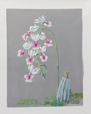 Weiße Orchideen