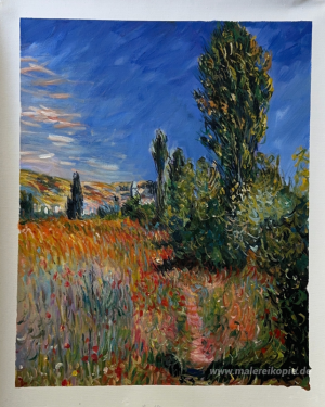 Landschaft auf der Ile Saint-Martin