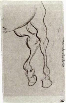 Hinterbeinen eines Pferdes Hinterbeinen eines Pferdes