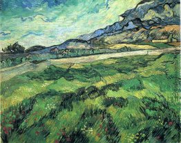 The Green Weizenfeld hinter dem Asyl The Green Weizenfeld hinter dem Asyl