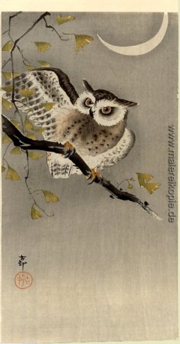 Eule auf Ginkgo-Zweig (Zwergohreule unter Halbmond) Eule auf Ginkgo-Zweig (Zwergohreule unter Halbmond)