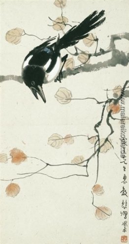 Magpie auf einem Red-Leave Ast Magpie auf einem Red-Leave Ast