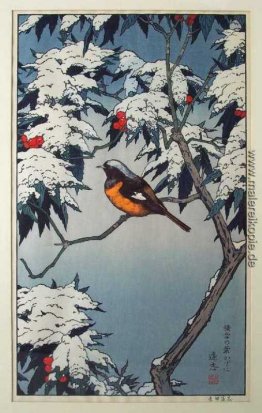 Vögel der Jahreszeiten - Winter Vögel der Jahreszeiten - Winter