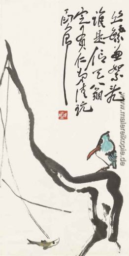 Eisvogel und Fische Eisvogel und Fische