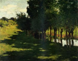 Sonnenlicht und Schatten Sonnenlicht und Schatten