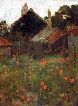 Das Mohnblumen-Feld Das Mohnblumen-Feld