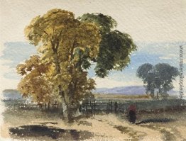 Moorlandschaft (Baumstudie) Moorlandschaft (Baumstudie)