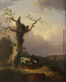 Esel in Landschaft Esel in Landschaft