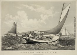 Trolling für blaue Fisch Trolling für blaue Fisch