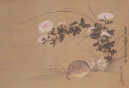 Wachteln und Chrysanthemen Wachteln und Chrysanthemen