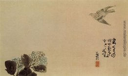 Ein wenig Kuckuck auf einer Hortensie (Haiga) Ein wenig Kuckuck auf einer Hortensie (Haiga)