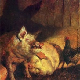 Nacht Schweine Nacht Schweine