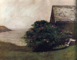 Insel Roses Insel Roses