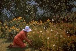 Erfassung der Blumen Erfassung der Blumen