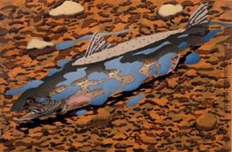 Redding Salmon Redding Salmon