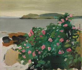 Wild Roses Wild Roses