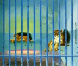 Cage aux lions Cage aux lions