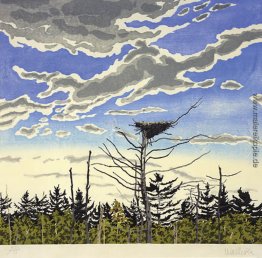 Osprey Nest Osprey Nest