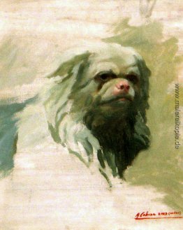 Portrait des Hundes Portrait des Hundes