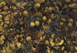 Äpfel an den Zweigen Äpfel an den Zweigen